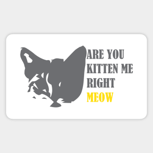 Are You Kitten Me Right Meow Sticker